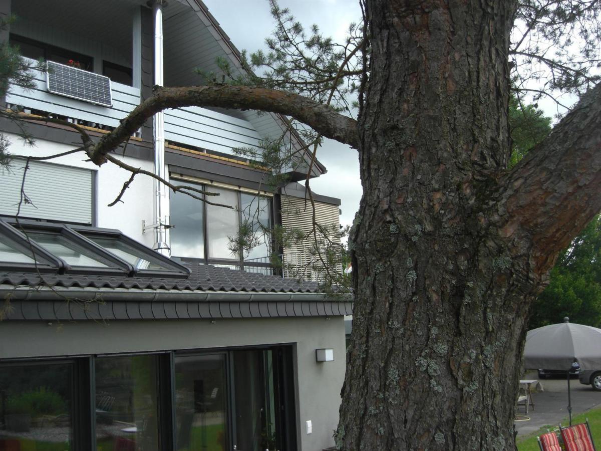 Ferienwohnung Alter Weinberg Saarburg Dış mekan fotoğraf