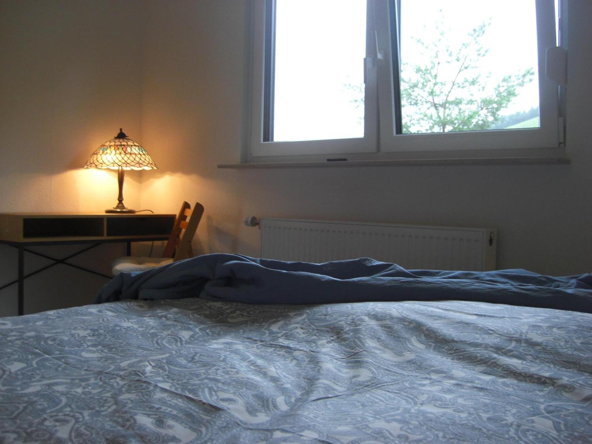 Ferienwohnung Alter Weinberg Saarburg Dış mekan fotoğraf