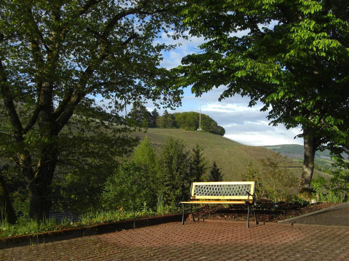Ferienwohnung Alter Weinberg Saarburg Dış mekan fotoğraf